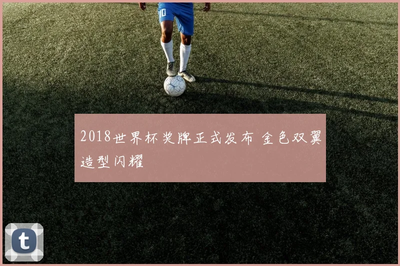 2018世界杯奖牌正式发布 金色双翼造型闪耀