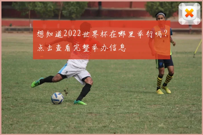 想知道2022世界杯在哪里举行吗?点击查看完整举办信息