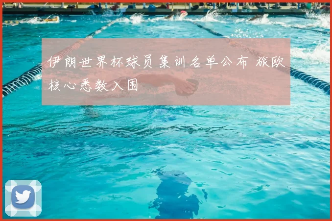 伊朗世界杯球员集训名单公布 旅欧核心悉数入围