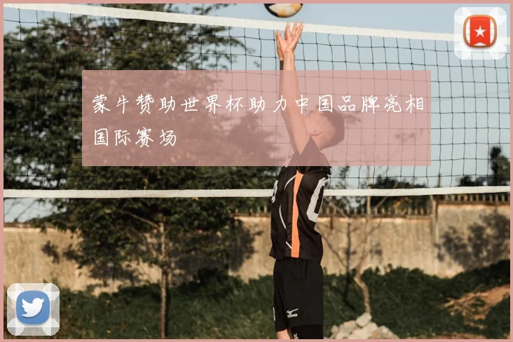 蒙牛赞助世界杯助力中国品牌亮相国际赛场