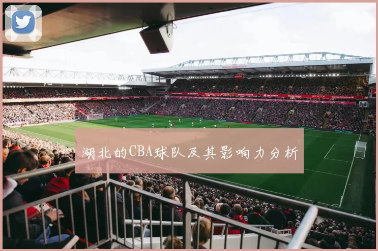 湖北的CBA球队及其影响力分析