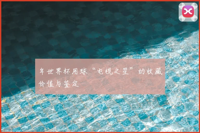 年世界杯用球“电视之星”的收藏价值与鉴定