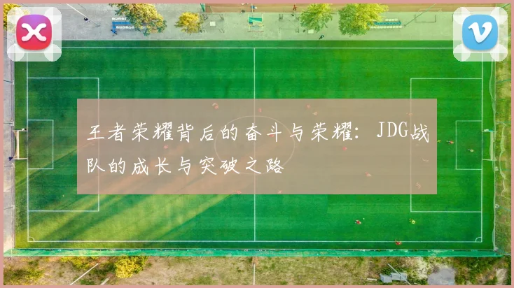 王者荣耀背后的奋斗与荣耀：JDG战队的成长与突破之路
