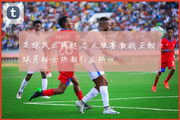 足球风云再起 各大联赛激战正酣 球员转会热潮引发热议