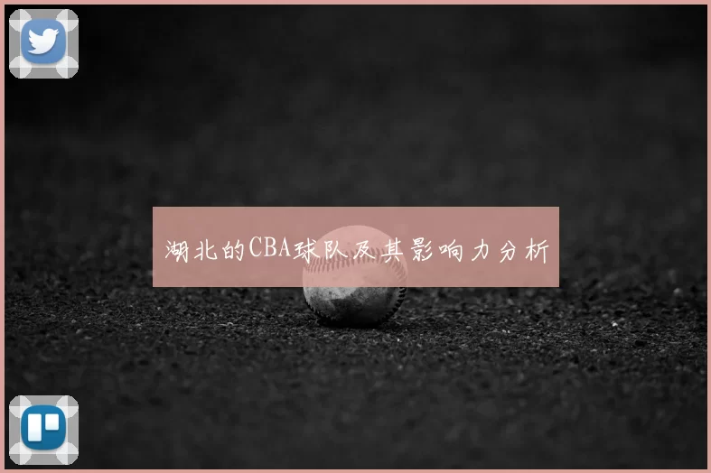 湖北的CBA球队及其影响力分析