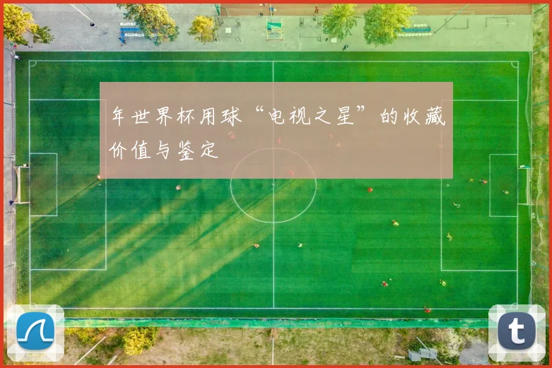 年世界杯用球“电视之星”的收藏价值与鉴定