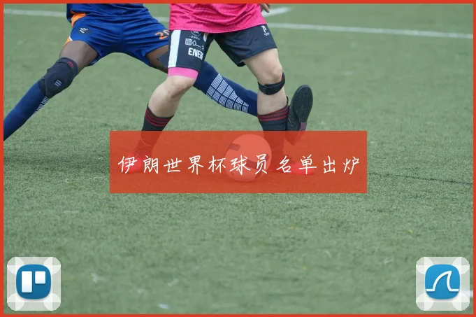 伊朗世界杯球员名单出炉