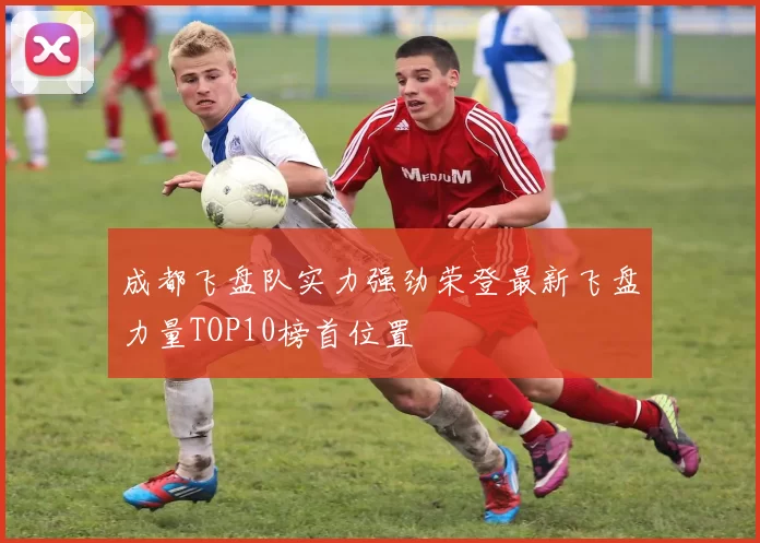 成都飞盘队实力强劲荣登最新飞盘力量TOP10榜首位置