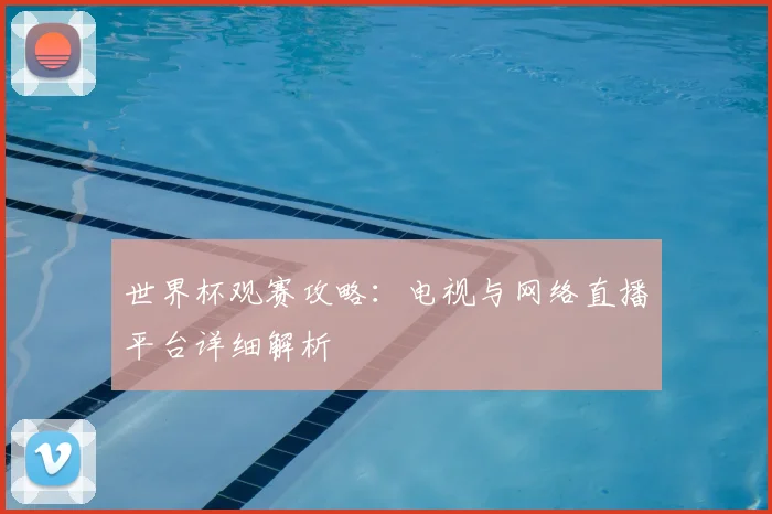 世界杯观赛攻略：电视与网络直播平台详细解析