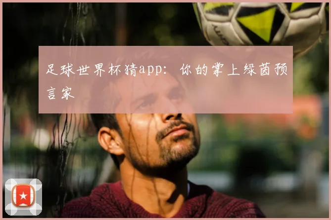 足球世界杯猜app：你的掌上绿茵预言家
