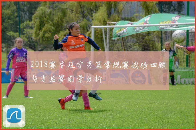 2018赛季辽宁男篮常规赛战绩回顾与季后赛前景分析