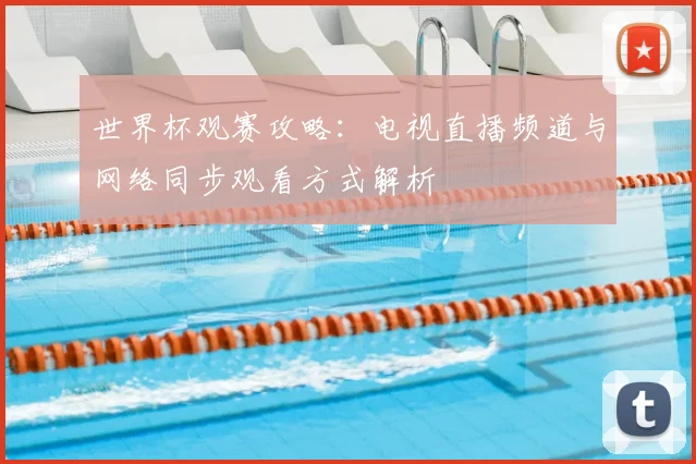 世界杯观赛攻略:电视直播频道与网络同步观看方式解析